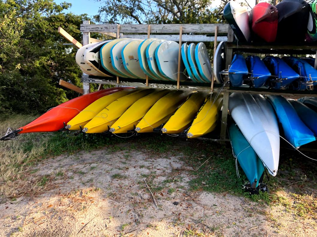paddleboard Rentals